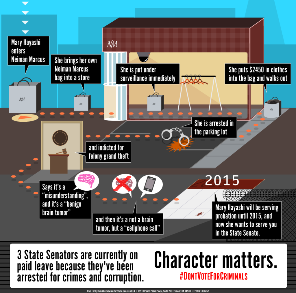 mugshotmary-infographic
